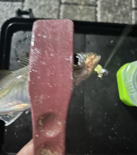 横風が強すぎる中