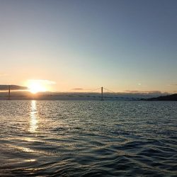 2024初フィッシュ