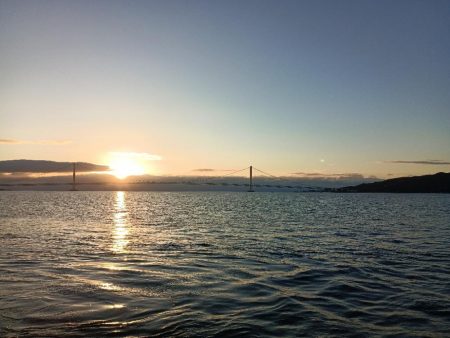 2024初フィッシュ