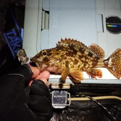 なんちゃってワーム