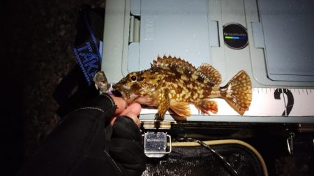 なんちゃってワーム