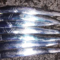 そろそろ終わりかな