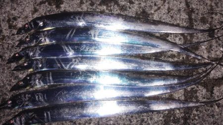 そろそろ終わりかな