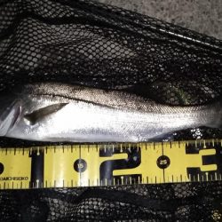 掛けるのが難しい…