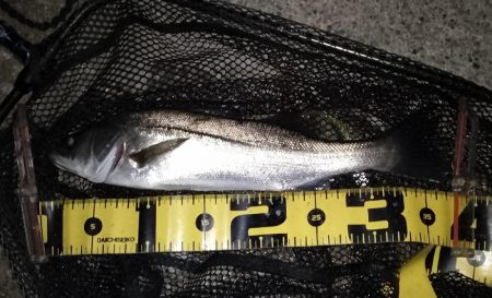 掛けるのが難しい…