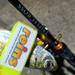 2024/01/15 南港ライトゲーム釣行 (アジ狙い)