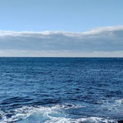 癒やしのアカハタからの一撃