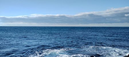 癒やしのアカハタからの一撃