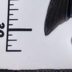 初のグレフカセ1日目