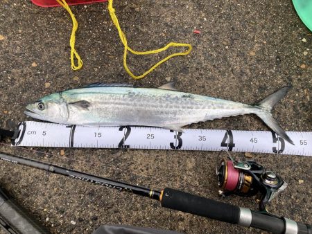 久しぶりのマルチヒット