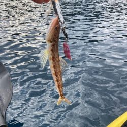 2024年上五島初釣りポイントチェック。久しくカンパリ投稿！