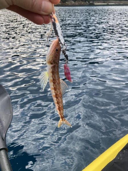 2024年上五島初釣りポイントチェック。久しくカンパリ投稿！