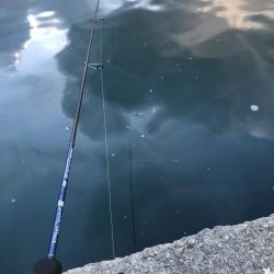 爆風の極寒アジング