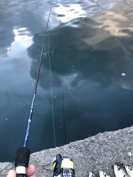 爆風の極寒アジング