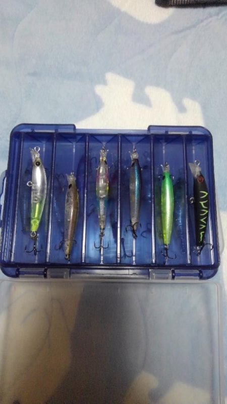 帰省中にメバル調査