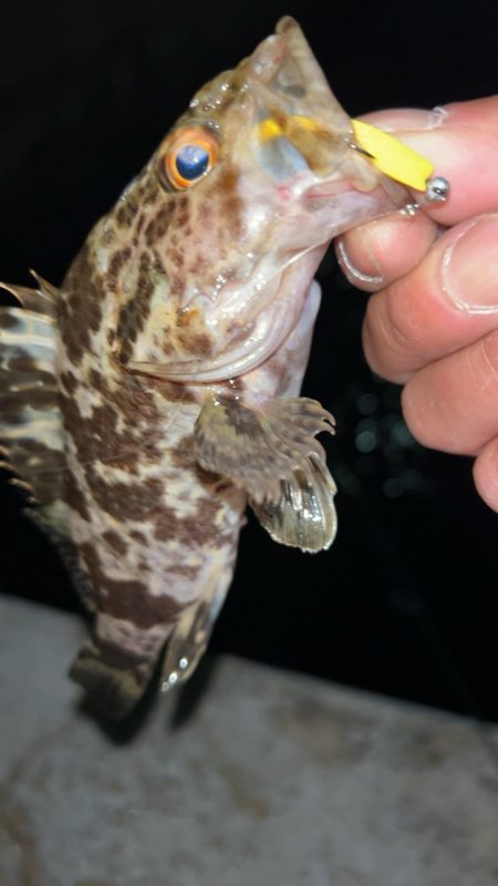 クリアブルーのテスターさんと釣行と…