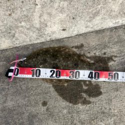 今年の第一号が釣れました。