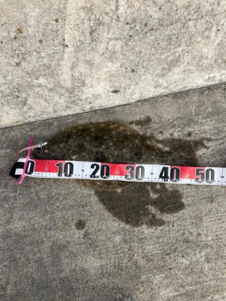 今年の第一号が釣れました。