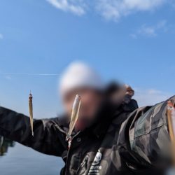 2024入鹿池ワカサギ