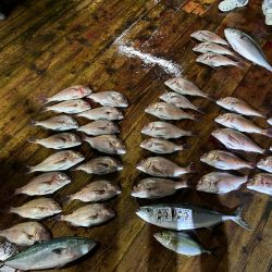 あなたに逢い鯛釣り堀　ナイター貸切