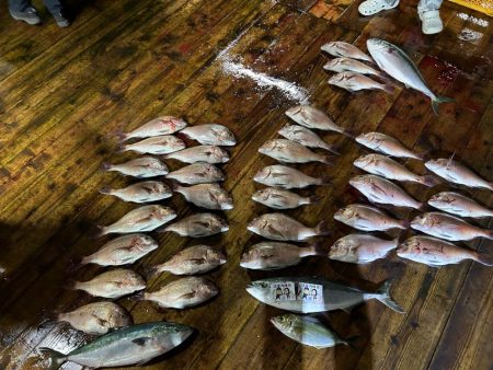 あなたに逢い鯛釣り堀　ナイター貸切