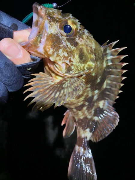 今年は遅めの初釣り！！
