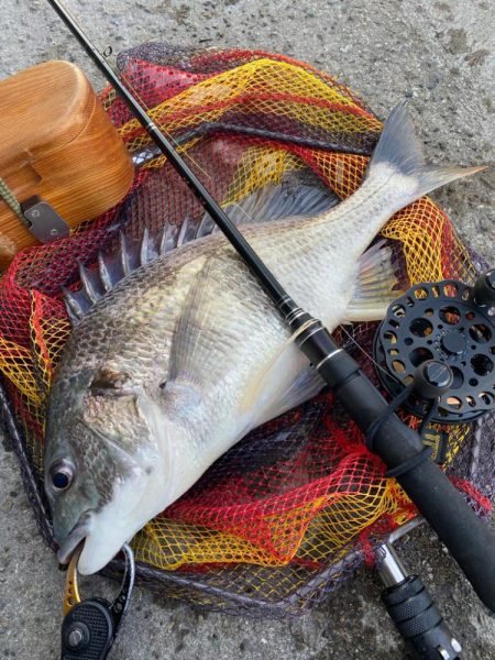 ヘチってきました