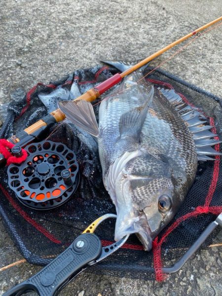 ヘチってきました