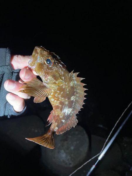 原点にして頂点。