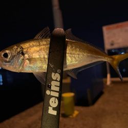 新年アジング初め!