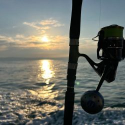 ジギングでガシラ