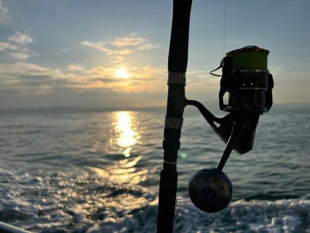 ジギングでガシラ