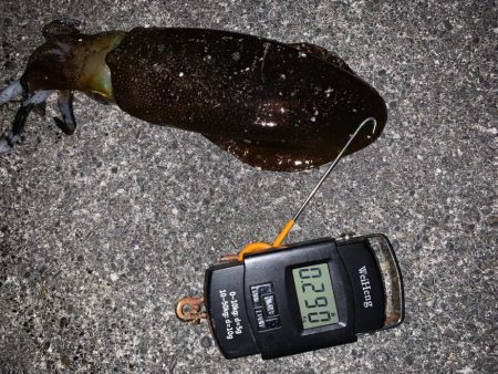 初釣り、なんとか釣れた。