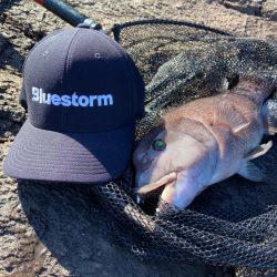 地磯でマダイとカンダイ