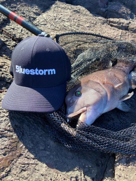 地磯でマダイとカンダイ