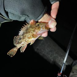 原点にして頂点