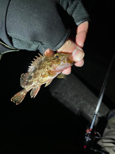 原点にして頂点