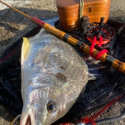 ヘチってきました