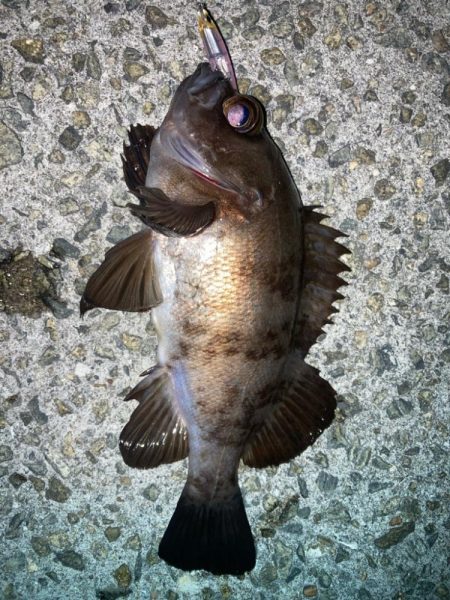 2024ライトゲーム第1戦