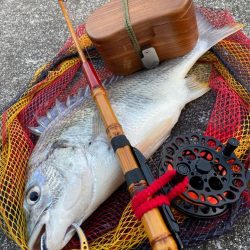 ヘチってきました