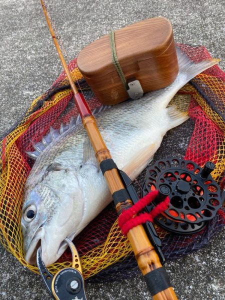 ヘチってきました