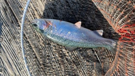 大寒波に海上釣堀!