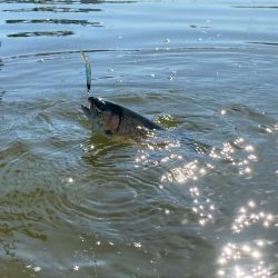 2時間かめプーで釣り&#x1f3a3;