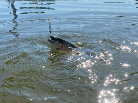 2時間かめプーで釣り&#x1f3a3;