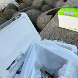 ノマセデビュー