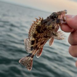 もう終わりかな?