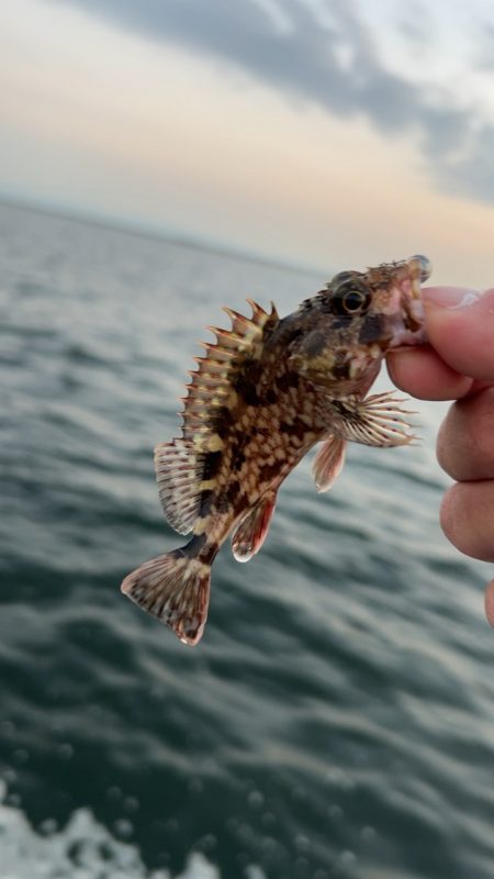 もう終わりかな?