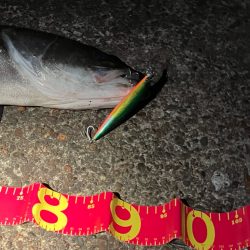 遂にキタ!尺だ!!