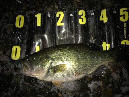 真冬の琵琶湖ゲーム