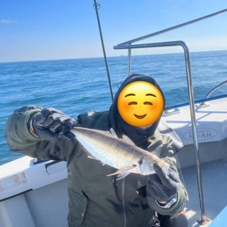 明石海峡デカ鯵×デカ鯖狙い